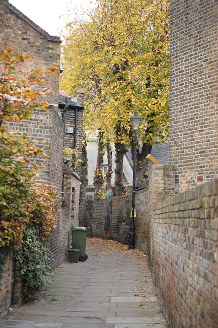 A narrow outdoor alleyway paved with concrete slabs, surrounded by brick walls on both sides. On the left, there is a small bush with orange and green foliage and a green wheelie bin placed against the wall. On the right, a taller brick wall extends along the path. Towards the end of the alley, a mature tree with yellow and orange leaves overhangs, partially obscuring buildings and a black street lamp mounted on a post. Visible in the background are white building facades and rooftops, suggesting a residential area in Upper Clapton. The scene is illuminated by natural daylight, capturing the typical setting for home relocation or moving logistics in the area, with Man With a Van Clapton providing the professional removals service for furniture transport and packing in this environment.